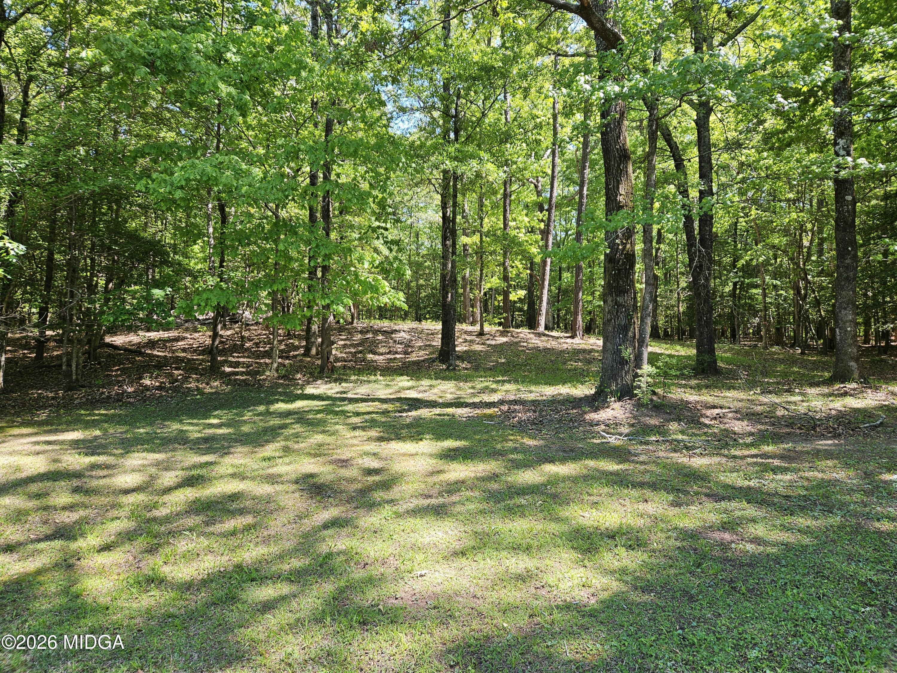 200 Gates Road Lizella, GA 31052 - Photo 81 of 88 Photo 81