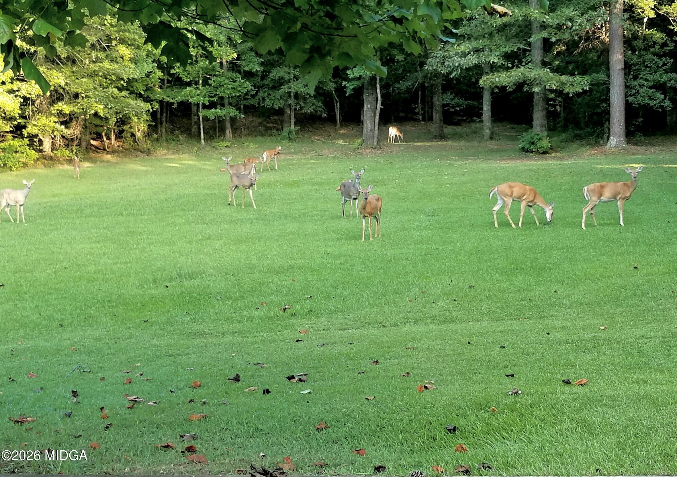 200 Gates Road Lizella, GA 31052 - Photo 83 of 88 Photo 83