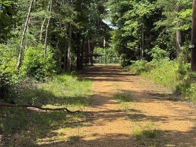 0 Marsalis Road Arcadia, LA 71001 - Photo 2 of 16