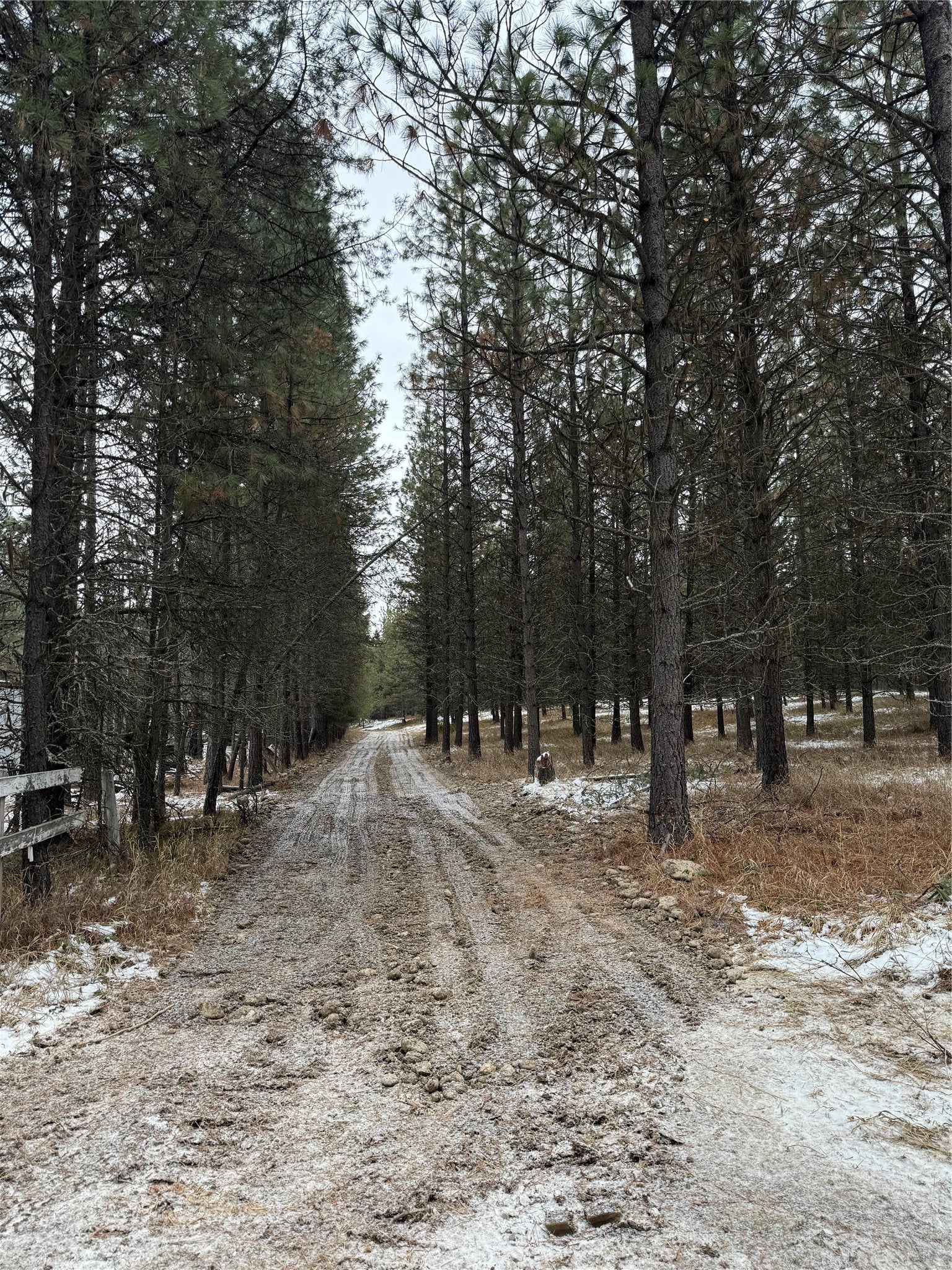 131 Break Road Libby, MT 59923 - Photo 3 of 9 Gallery Image 3