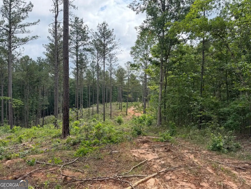 0 Mt Sinai Road, Unit LOT 1 Lula, GA 30554 - Photo 45 of 67