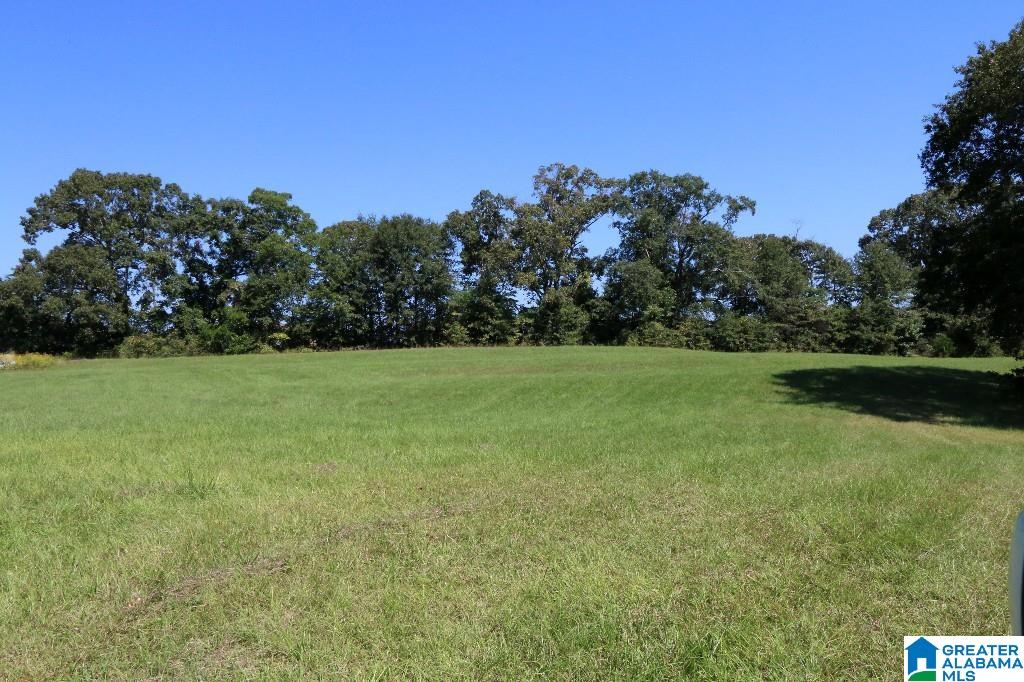 0 Wilson Road, Unit 1 Clanton, AL 35045 - Photo 3 of 4