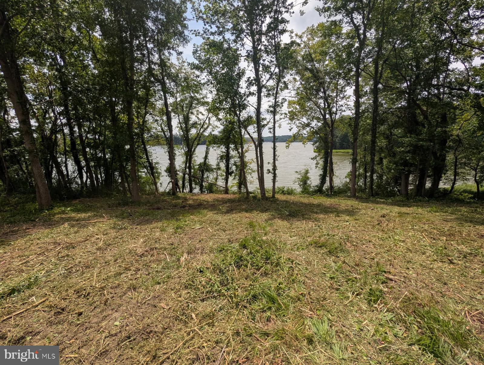 Lot 1 Zacata Road Montross, VA 22520 - Photo 6 of 18 Gallery Image 6
