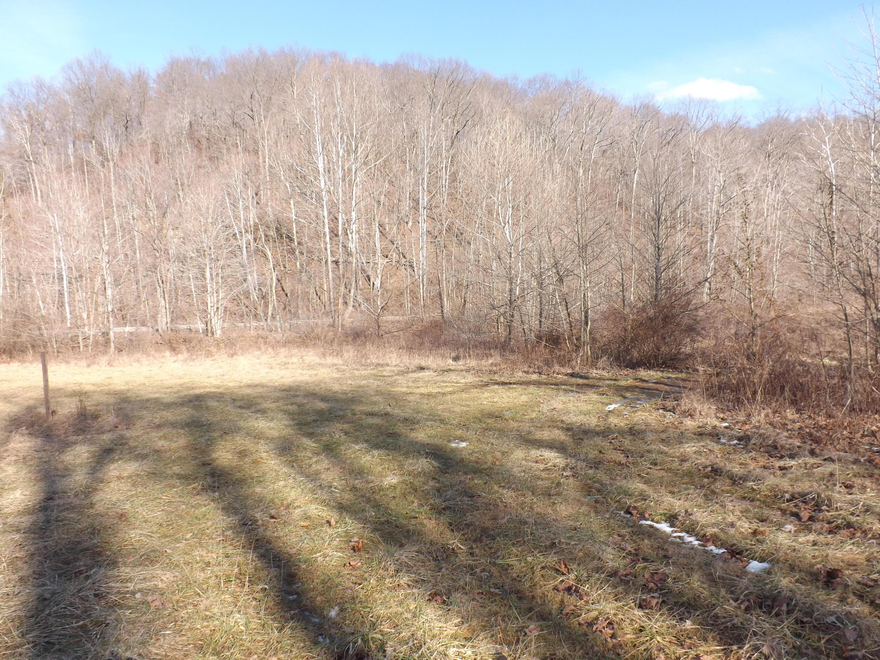 0 Pretty Run Road McArthur, OH 45651 - Photo 1 of 10 Gallery Image 1