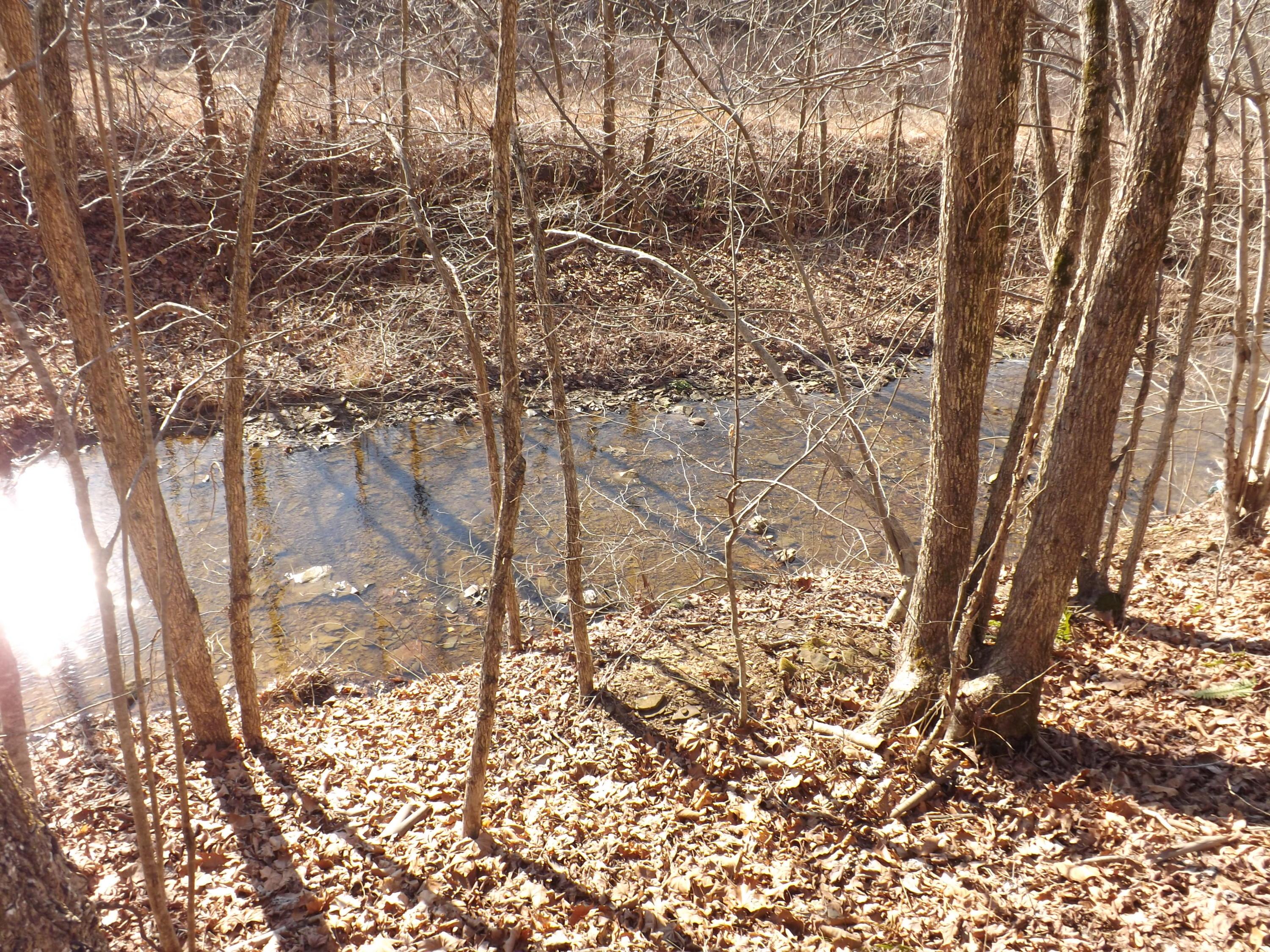 0 Pretty Run Road McArthur, OH 45651 - Photo 2 of 10 Gallery Image 2