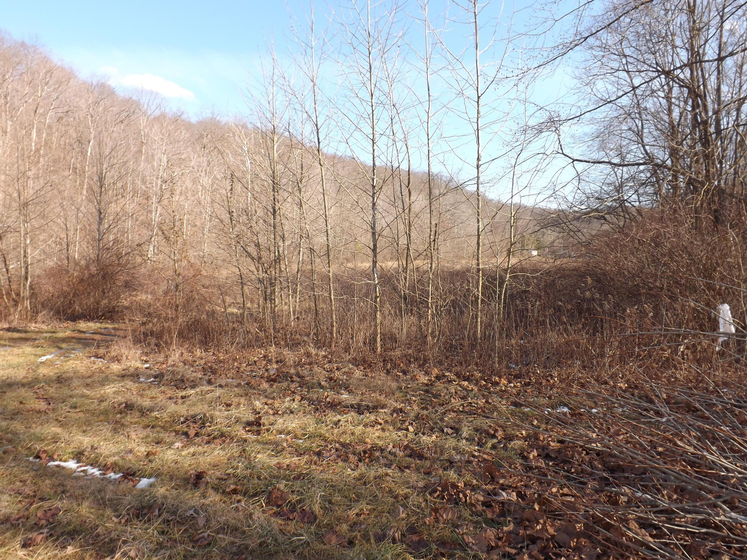 0 Pretty Run Road McArthur, OH 45651 - Photo 5 of 10 Gallery Image 5