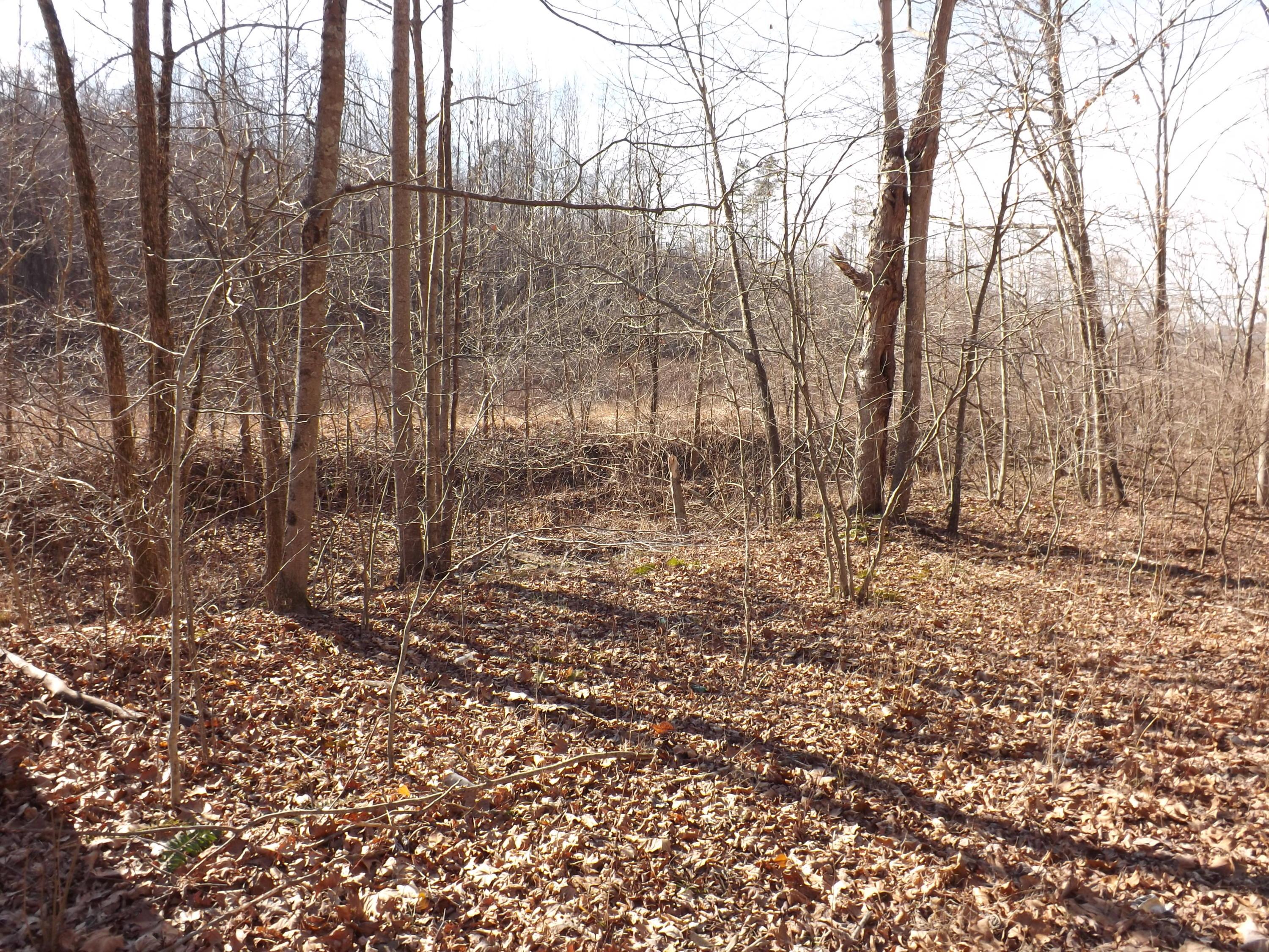 0 Pretty Run Road McArthur, OH 45651 - Photo 6 of 10 Gallery Image 6