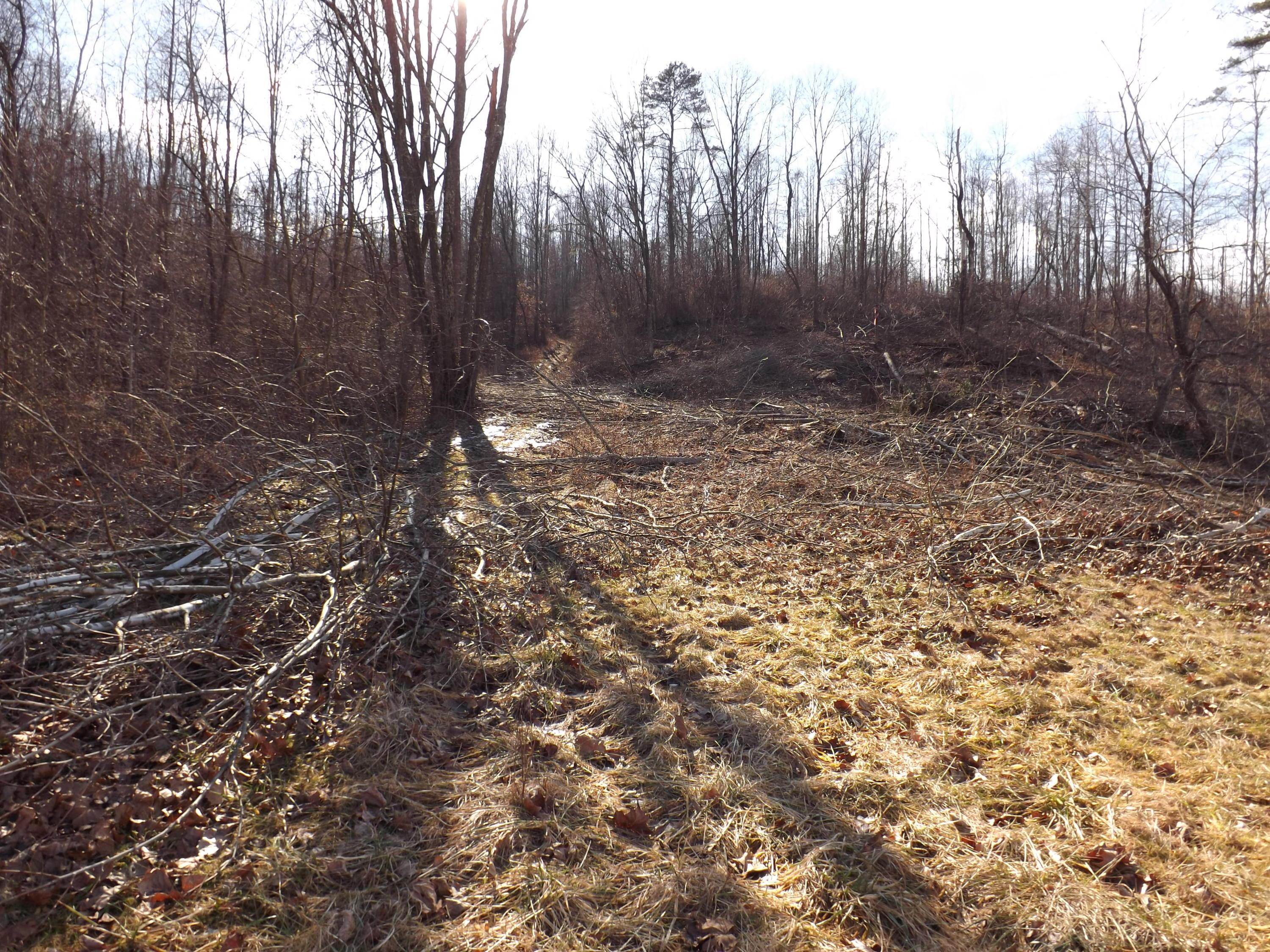 0 Pretty Run Road McArthur, OH 45651 - Photo 8 of 10 Gallery Image 8