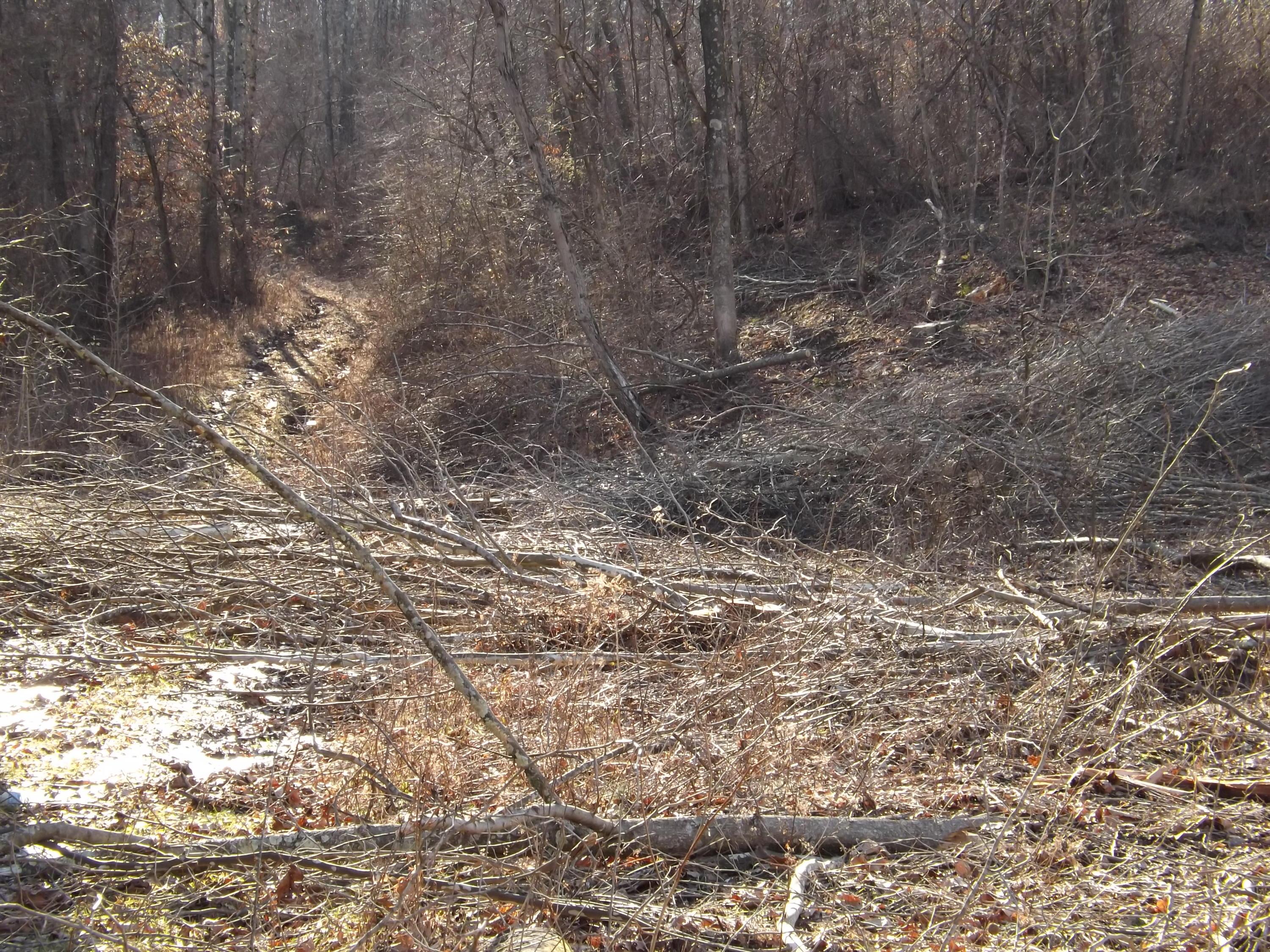 0 Pretty Run Road McArthur, OH 45651 - Photo 9 of 10 Gallery Image 9