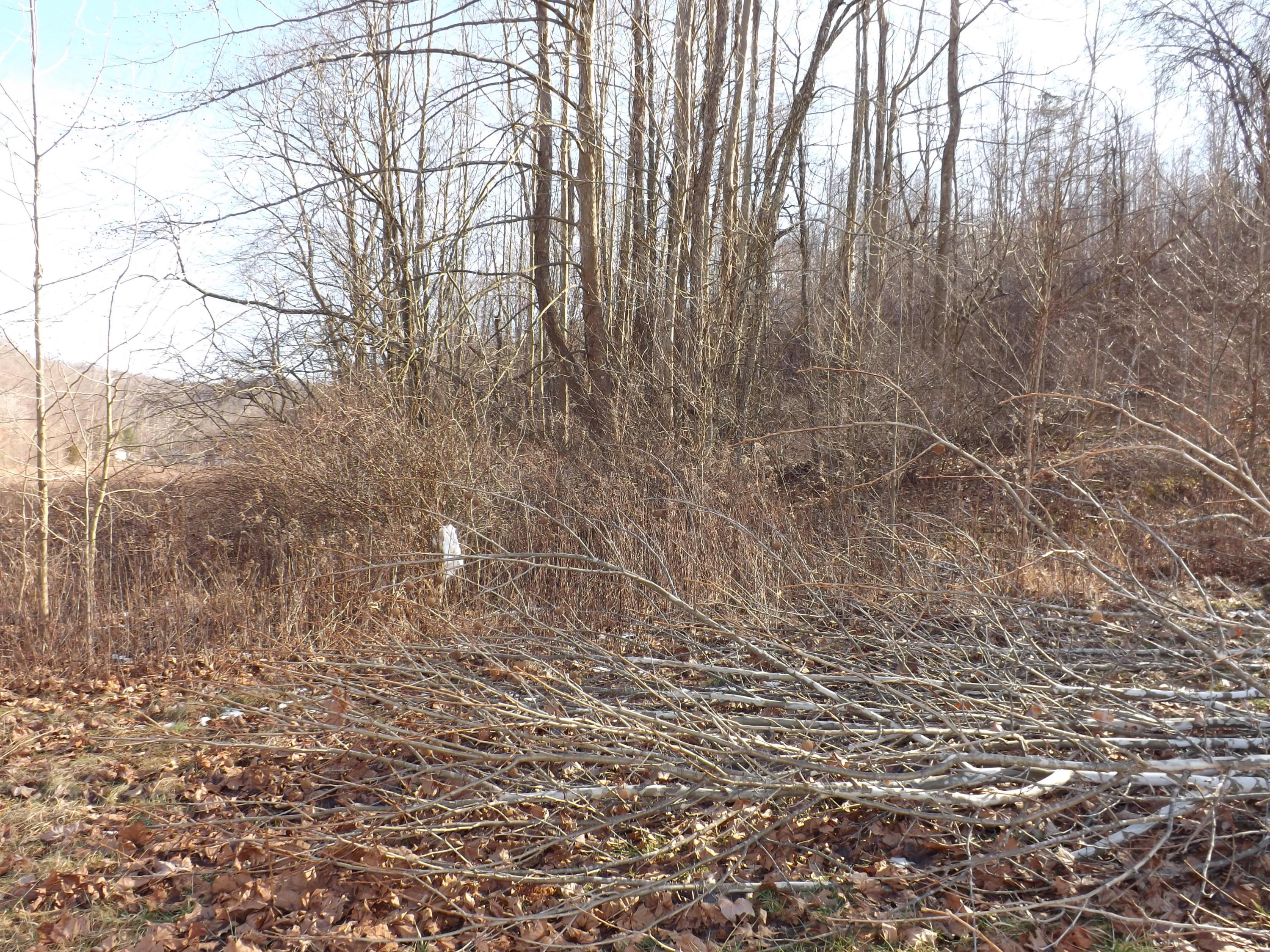 0 Pretty Run Road McArthur, OH 45651 - Photo 10 of 10 Gallery Image 10