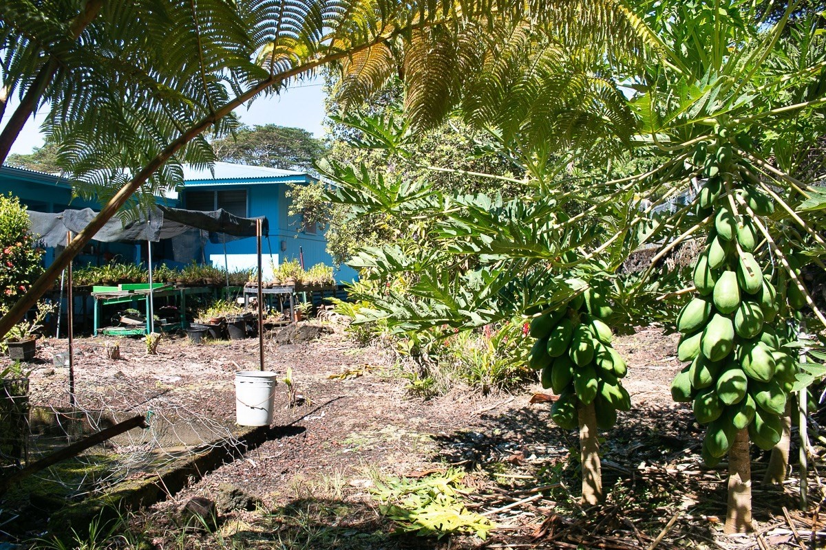 17-309 Volcano Road Kurtistown, HI 96749 - Photo 21 of 24