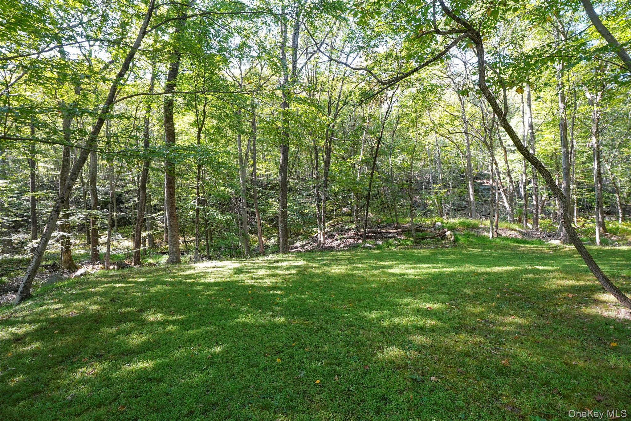22 Peters Lane Pound Ridge, NY 10576 - Photo 43 of 43 Expansive grassy area surrounded by a densely wooded tree line