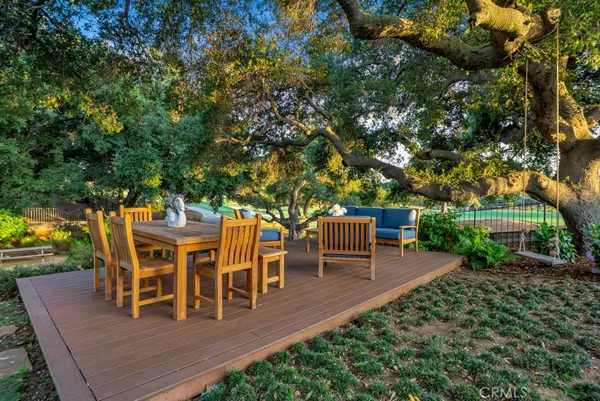 a view of a yard with plants and large trees