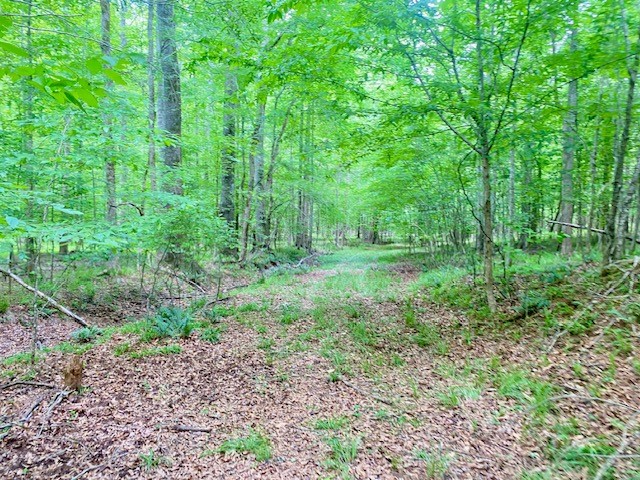 0 Pete Johnson Road Tignall, GA 30668 - Photo 30 of 43