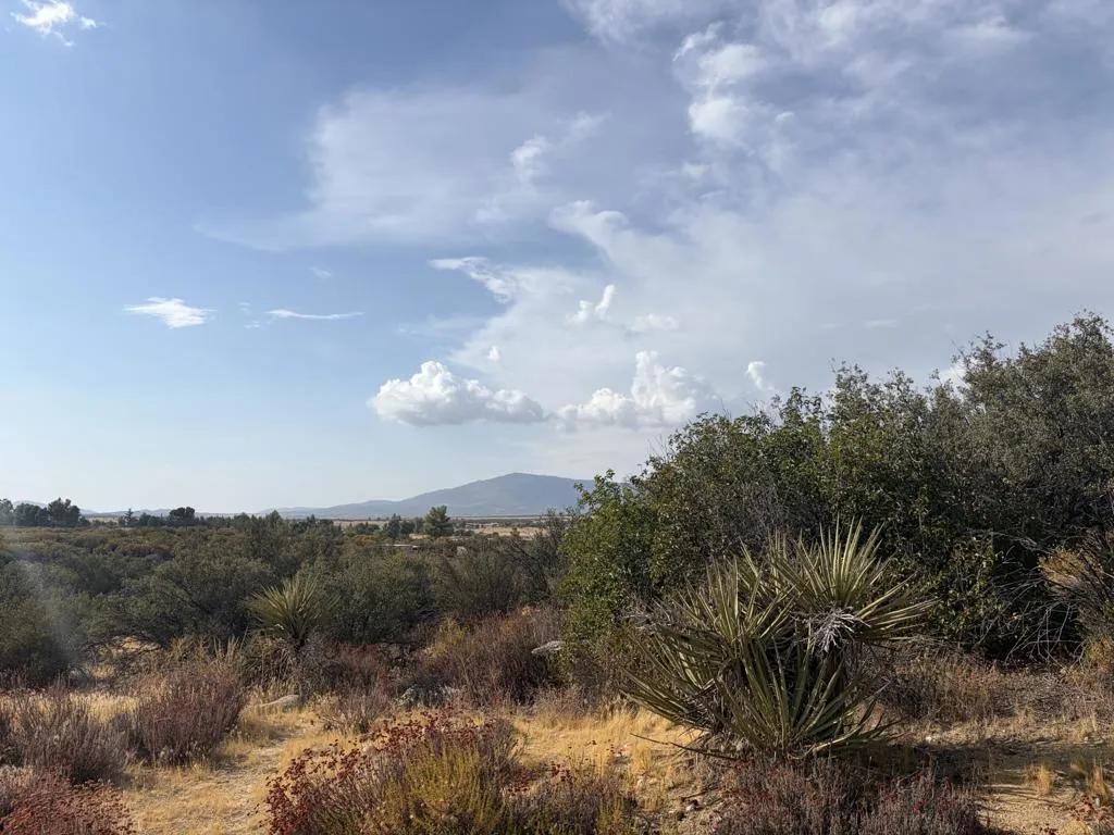 0 Kgkj Ranch Road Anza, CA 92539 - Photo 11 of 11 IMG_1457