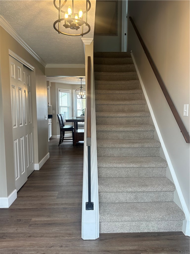 120 Donna Road Gates, NY 14606 - Photo 17 of 47 New carpeting upstairs
