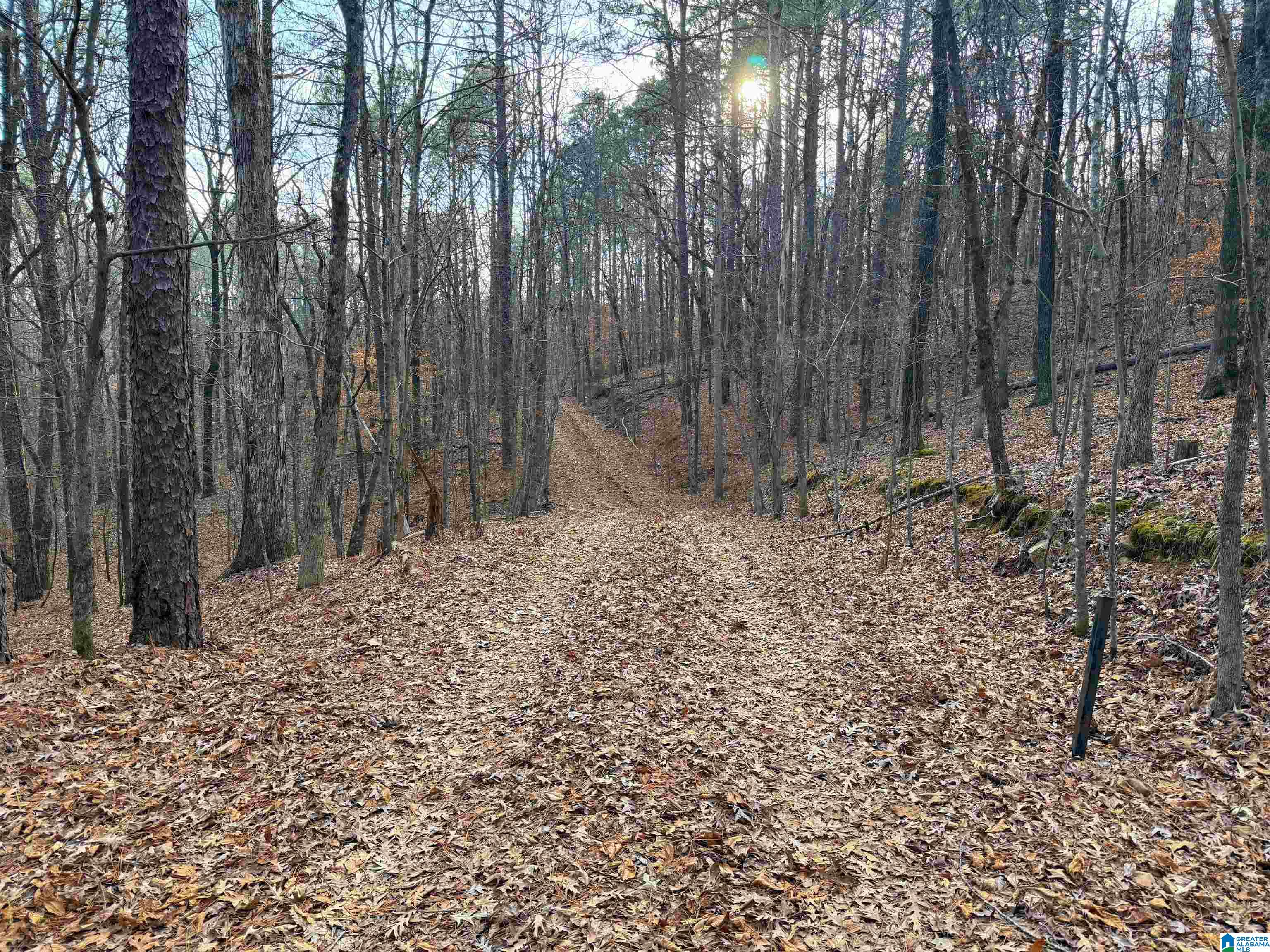 0 Deer Run Road Alabaster, AL 35007 - Photo 16 of 25