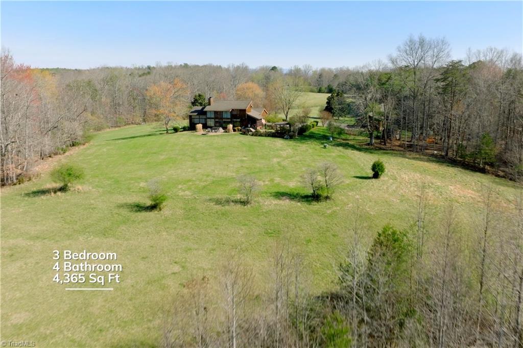1019 George Road Westfield, NC 27053 - Photo 5 of 28