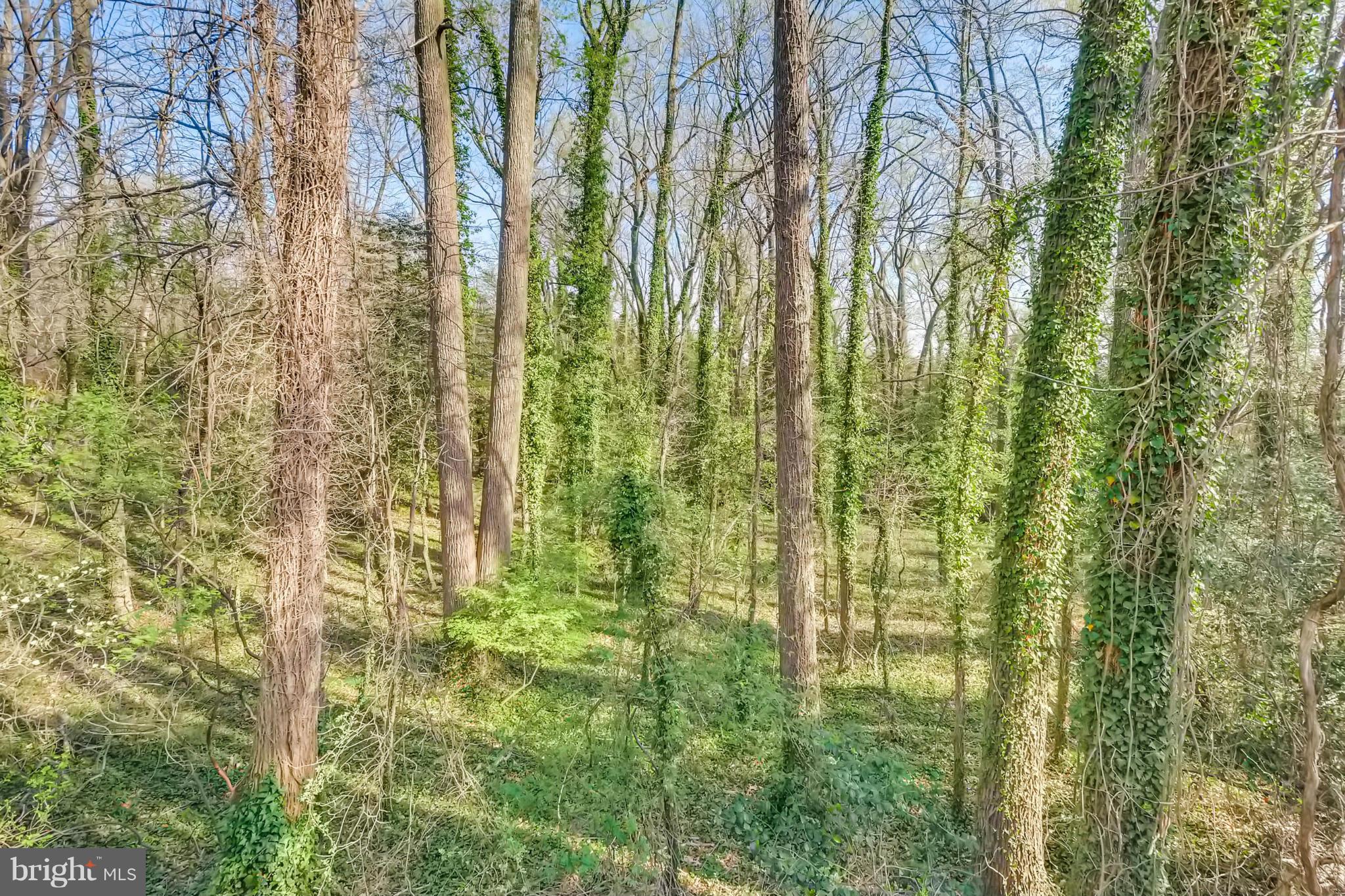 370 Hunner Road Pasadena, MD 21122 - Photo 26 of 27 Exterior (Rear)