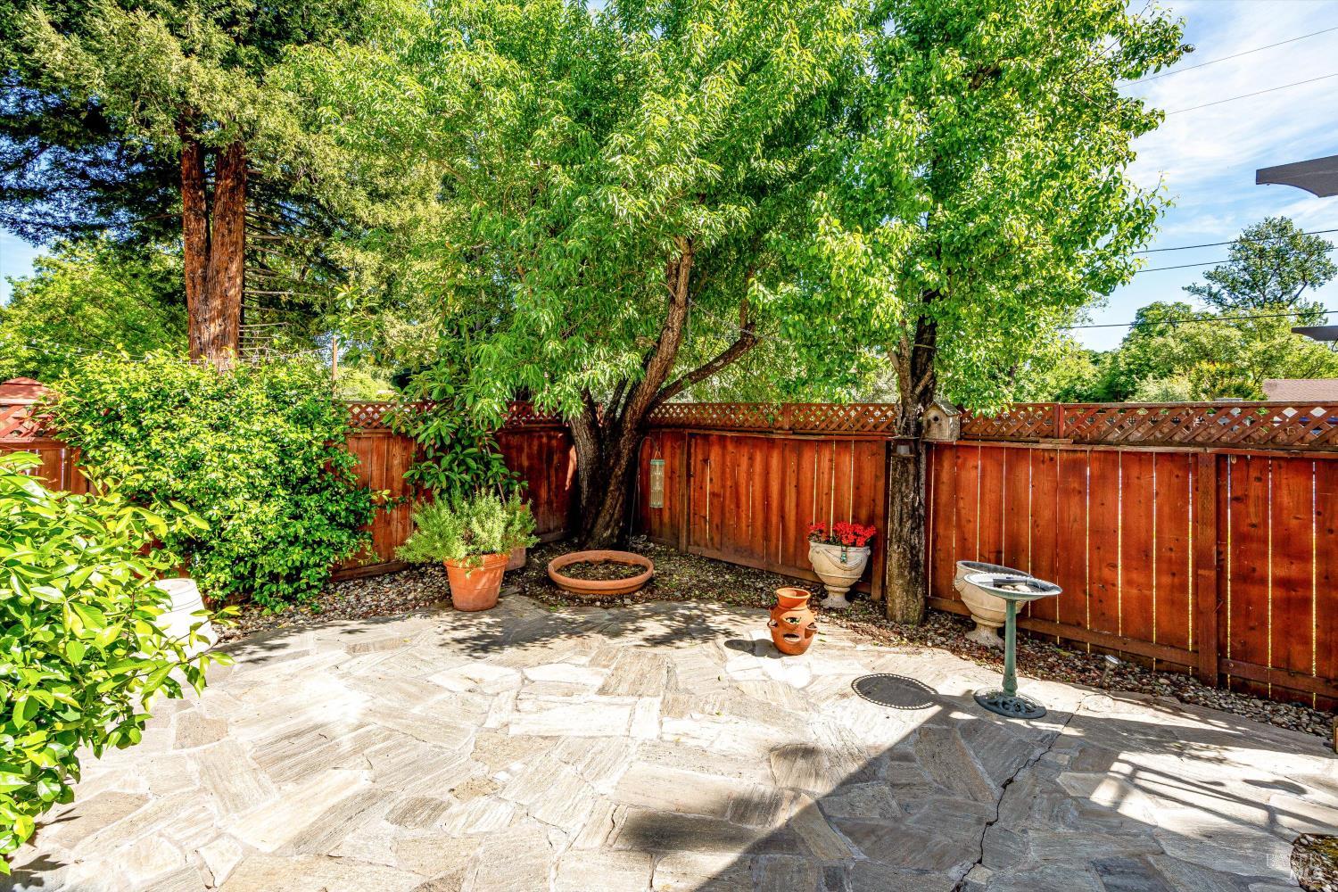 187 Wikiup Meadows Drive Santa Rosa, CA 95403 - Photo 53 of 66 a view of a backyard with a bench and a large tree