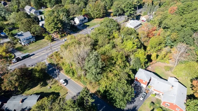 a view of a garden with a flower pot
