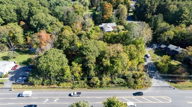 a view of a garden with plants and flowers