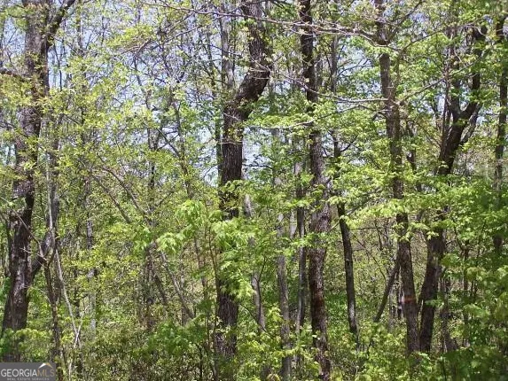 an aerial view of a residential houses with outdoor space