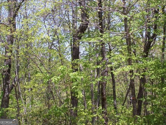 0 Thunderhead Lane Dillard, GA 30537 - Photo 7 of 14 a map view of a tree