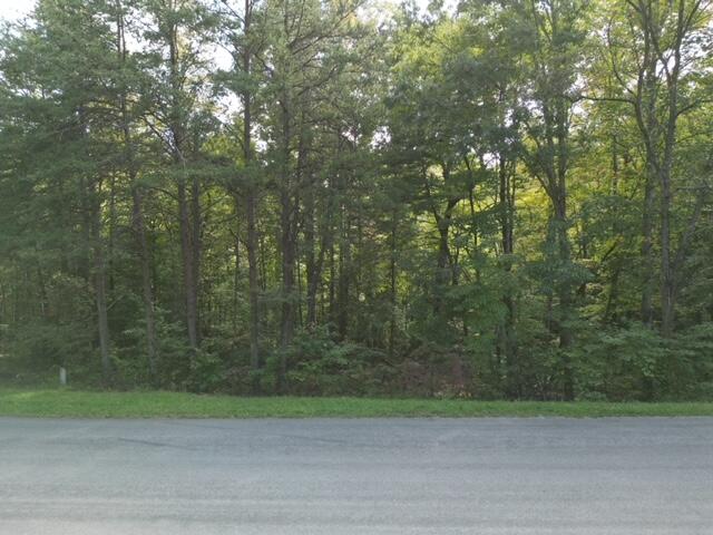 0 Muddy Fork Road Bassett, VA 24055 - Photo 12 of 14 012