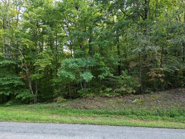 0 Muddy Fork Road Bassett, VA 24055 - Photo 13 of 14 013