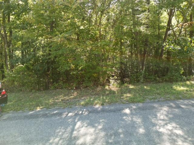 30 ACRES FOR SALE!