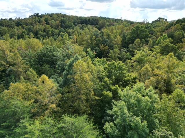 0 Muddy Fork Road Bassett, VA 24055 - Photo 10 of 14 010