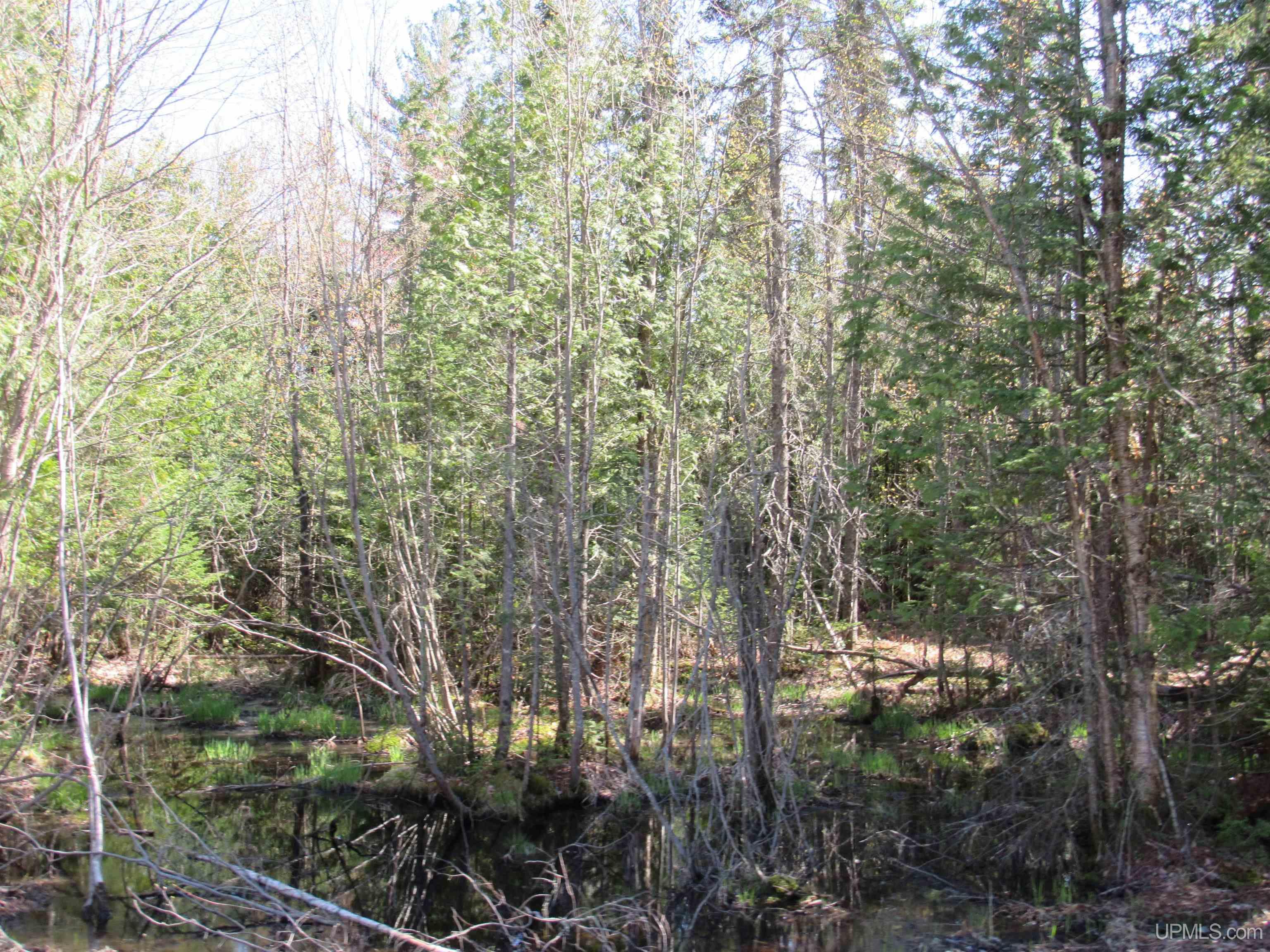 Tbd Rice Lake Road, Unit JUST WEST OF 31959 RICE L Lake Linden, MI 49945 - Photo 2 of 4