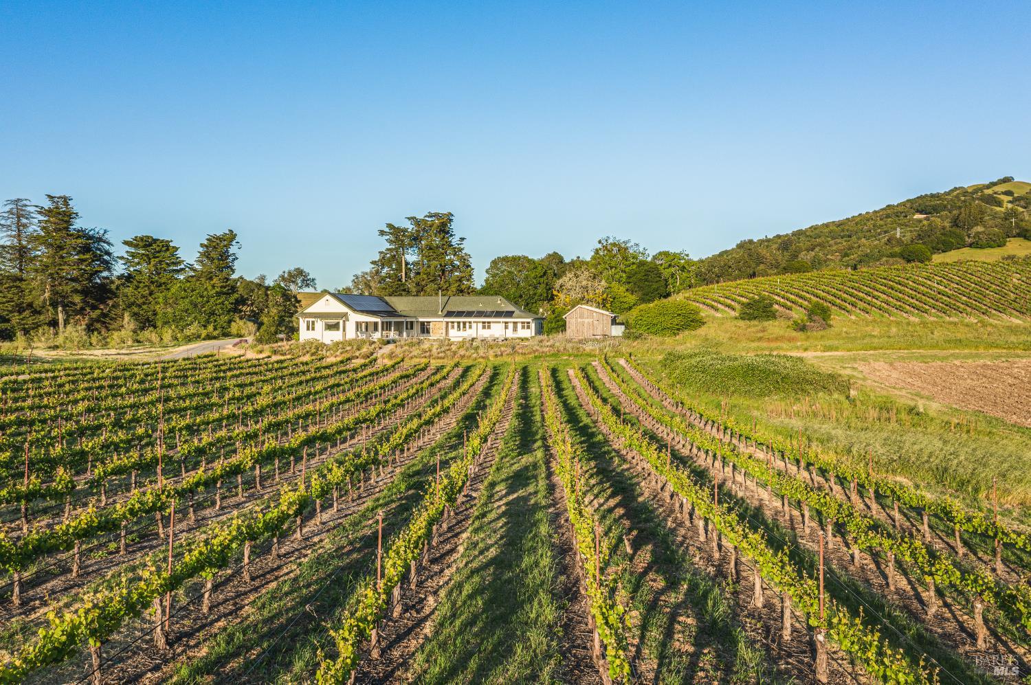5561 Sonoma Mountain Road Santa Rosa, CA 95404 - Photo 51 of 70