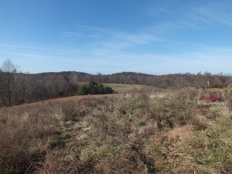 148 Turci Nevins Road Caneyville, KY 42721 - Photo 21 of 32 Gallery Image 21