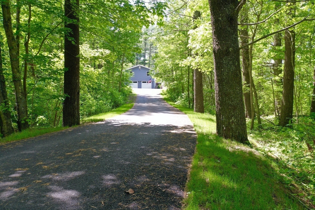 7 Brook Street Plympton, MA 02367 - Photo 36 of 42 a view of a street with large trees