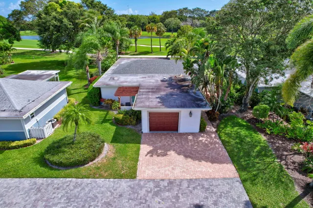 a view of a garden with plants and large trees