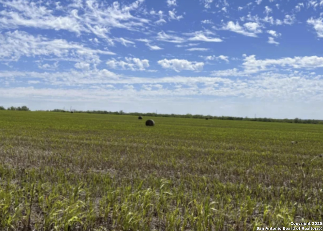 Tract A Abbott St. Hedwig, TX 78152 - Photo 2 of 4 a view of a city
