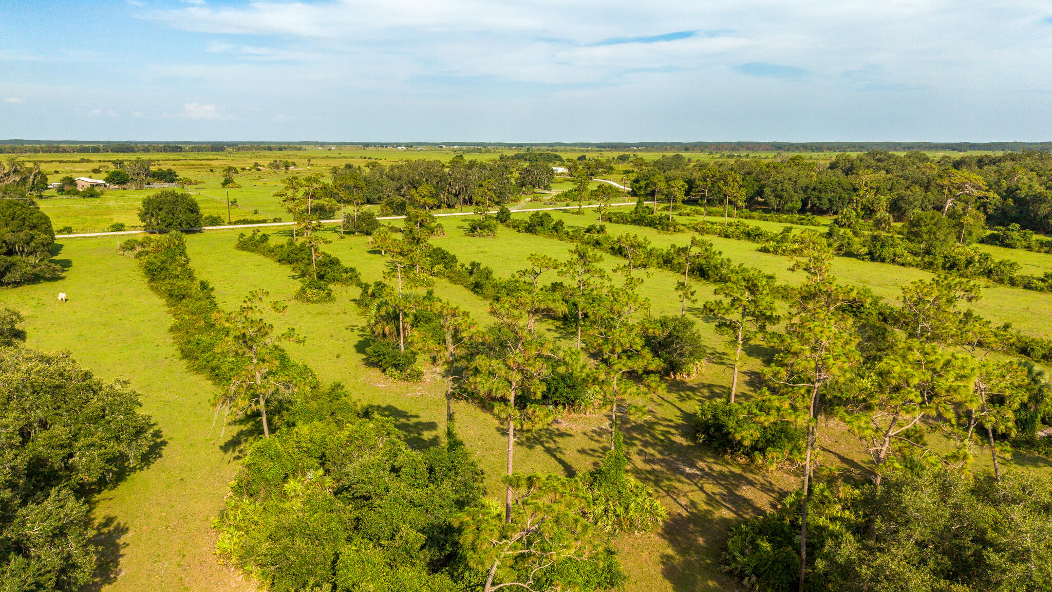 0 Northwest 190th Road Okeechobee, FL 34972 - Photo 23 of 28 Bass DRONES-14