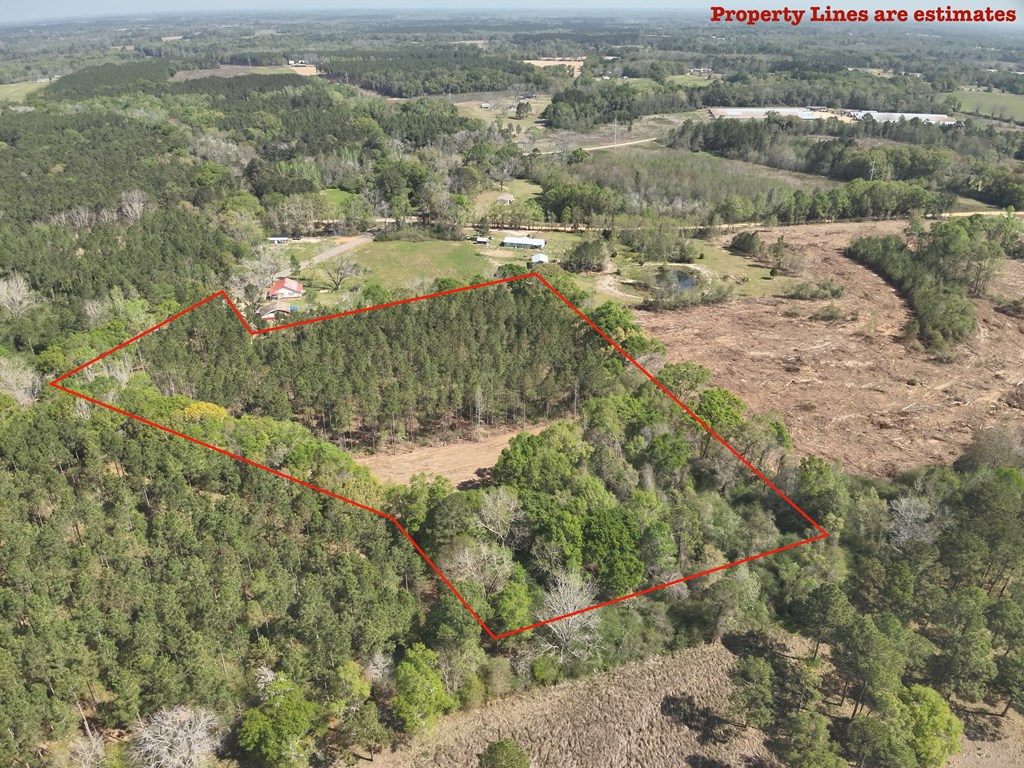 0 South County Road Slocomb, AL 36375 - Photo 3 of 17 Gallery Image 3