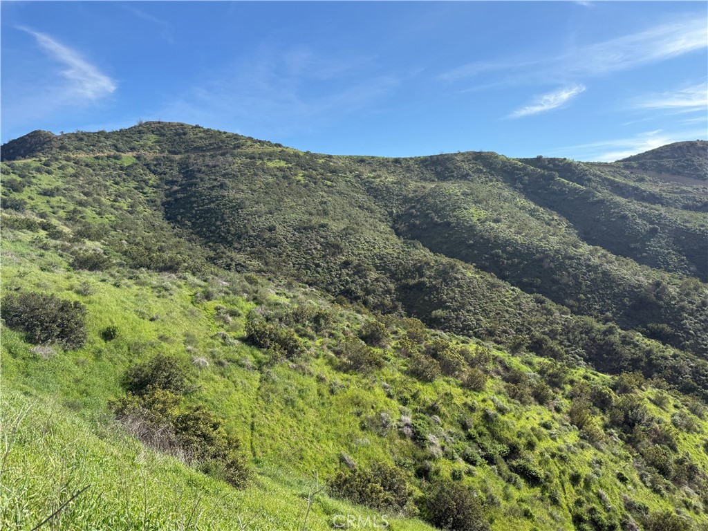 28292 Williams Canyon Road Silverado, CA 92676 - Photo 13 of 21