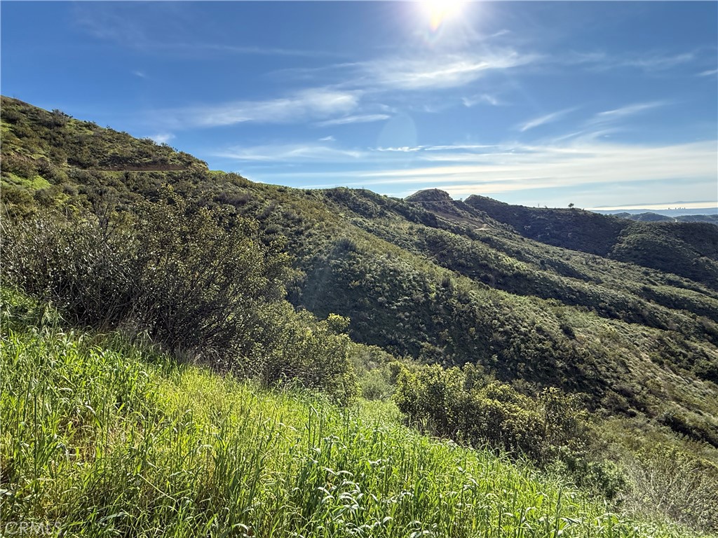 28292 Williams Canyon Road Silverado, CA 92676 - Photo 8 of 21