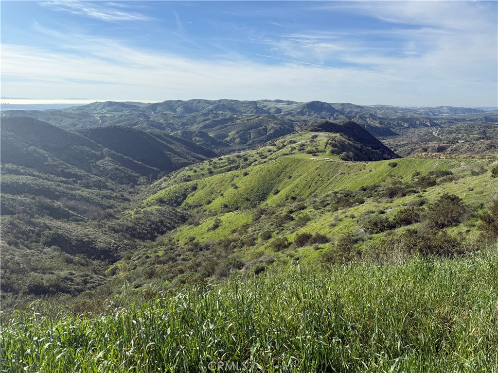 28292 Williams Canyon Road Silverado, CA 92676 - Photo 10 of 21