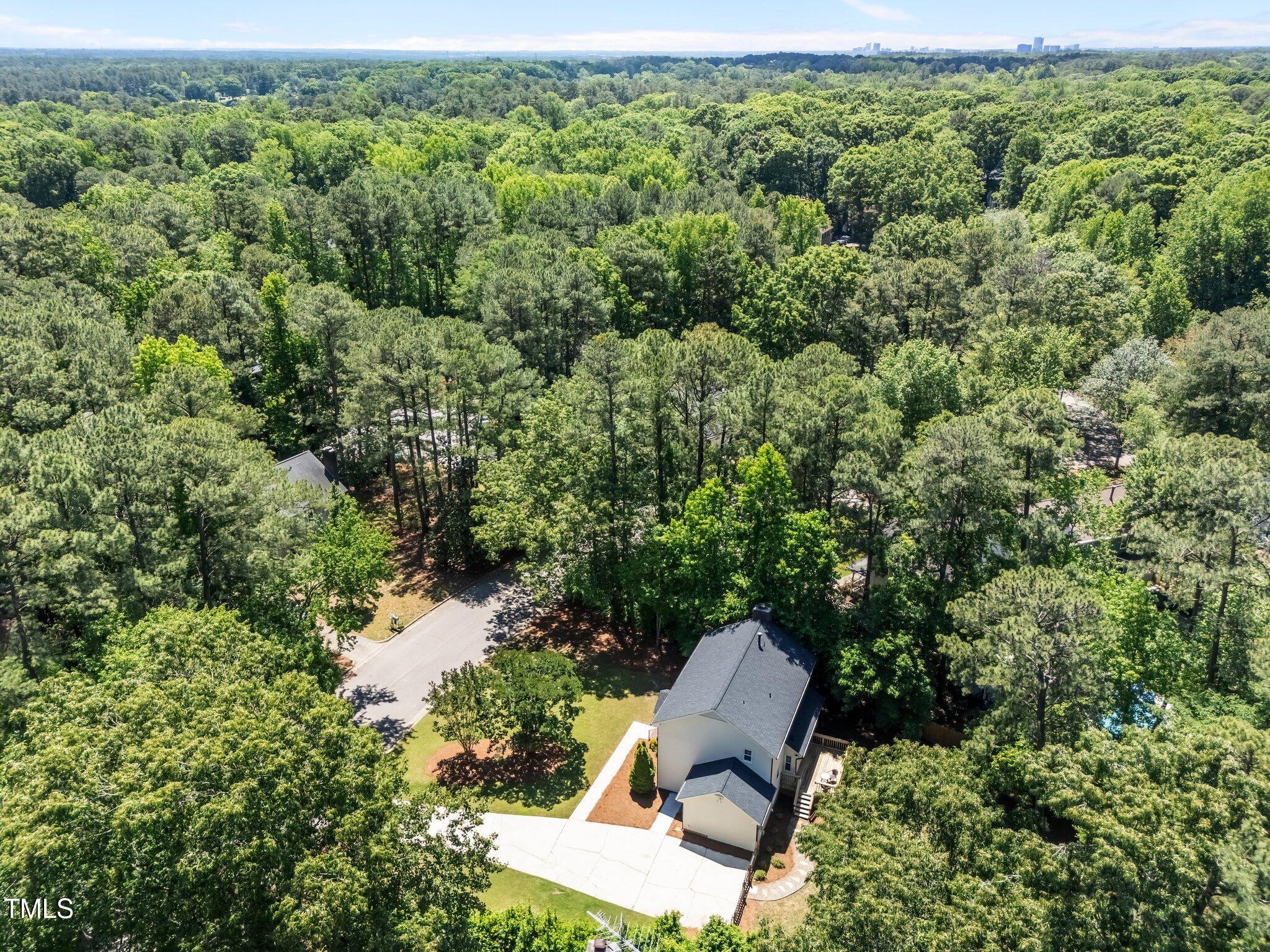 7204 Laketree Drive Raleigh, NC 27615 - Photo 33 of 33 47-web-or-mls-DJI_20250506124420_0777_D