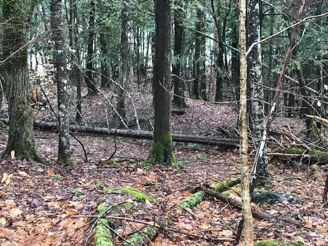 18 Bear Point Road Dover-Foxcroft, ME 04426 - Photo 1 of 3 Bear Point Lot