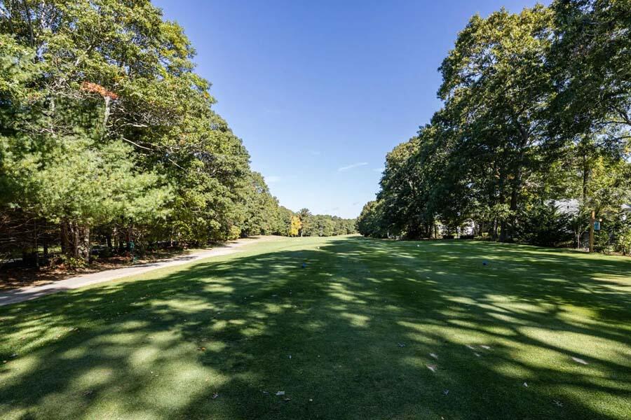 55 Palmer Road Mashpee, MA 02649 - Photo 39 of 42 a yard with trees in the background