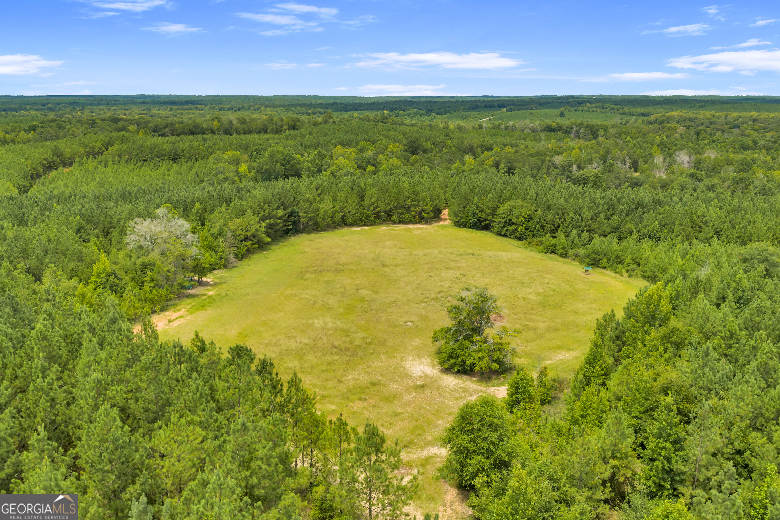 100 Bussey Place Road Morris, GA 39867 - Photo 62 of 174 Gallery Image 62