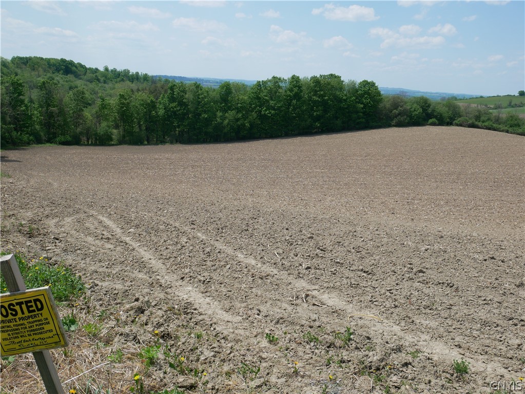 Canning Factory Road Waterville, NY 13480 - Photo 13 of 17