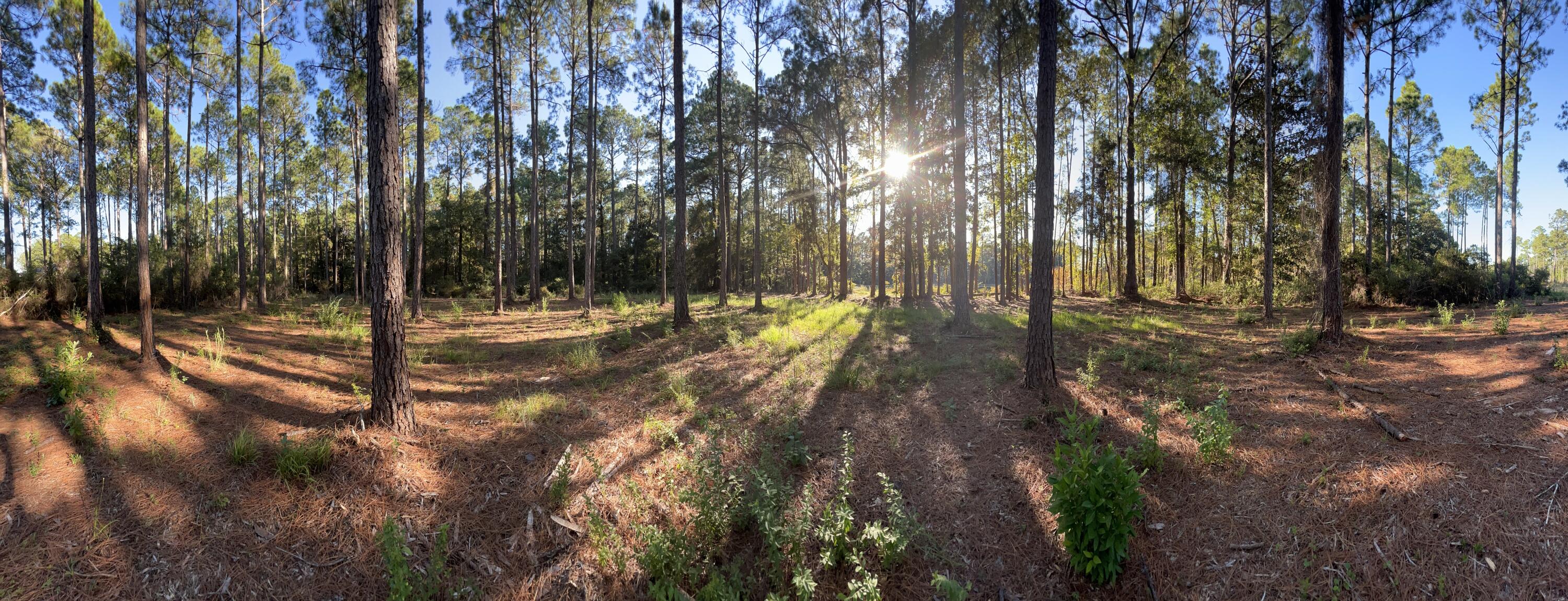 Lot 25 West Captain Fritz Way Freeport, FL 32439 - Photo 11 of 20 Buildable Lot