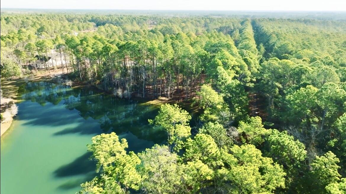 Lot 25 West Captain Fritz Way Freeport, FL 32439 - Photo 6 of 20 Residential Wooded Lot